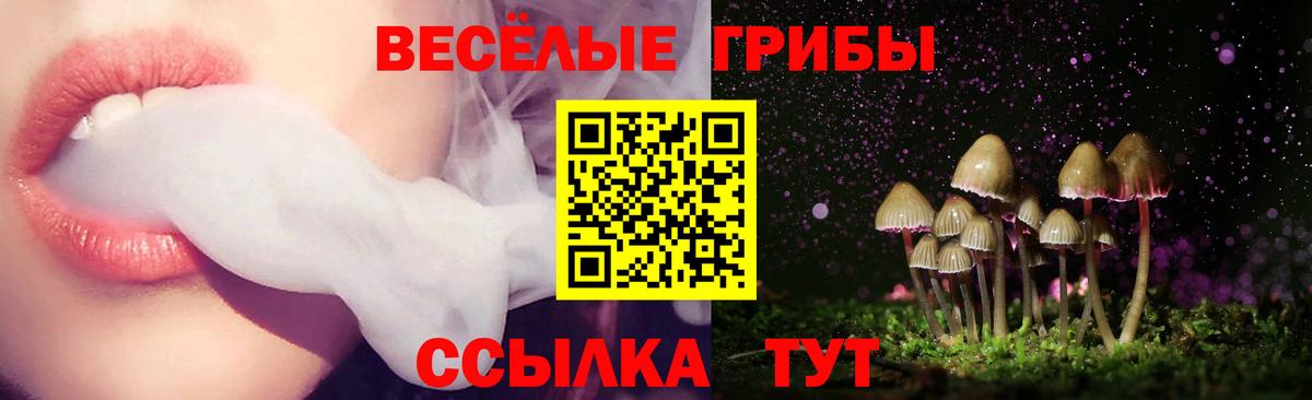 Галлюциногенные грибы мухоморы Вязники